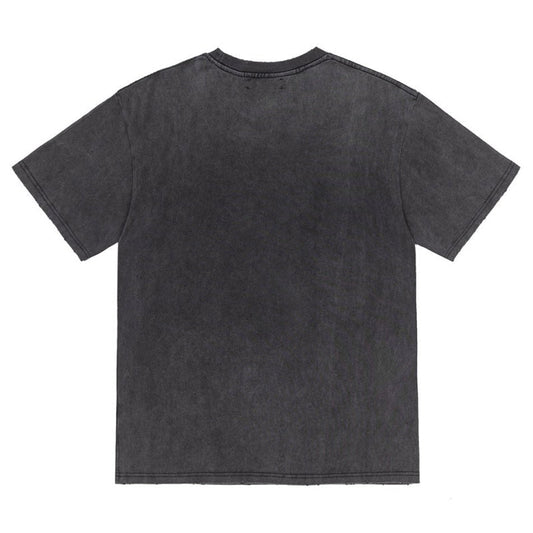 AMlRl High Lion T-Shirt
